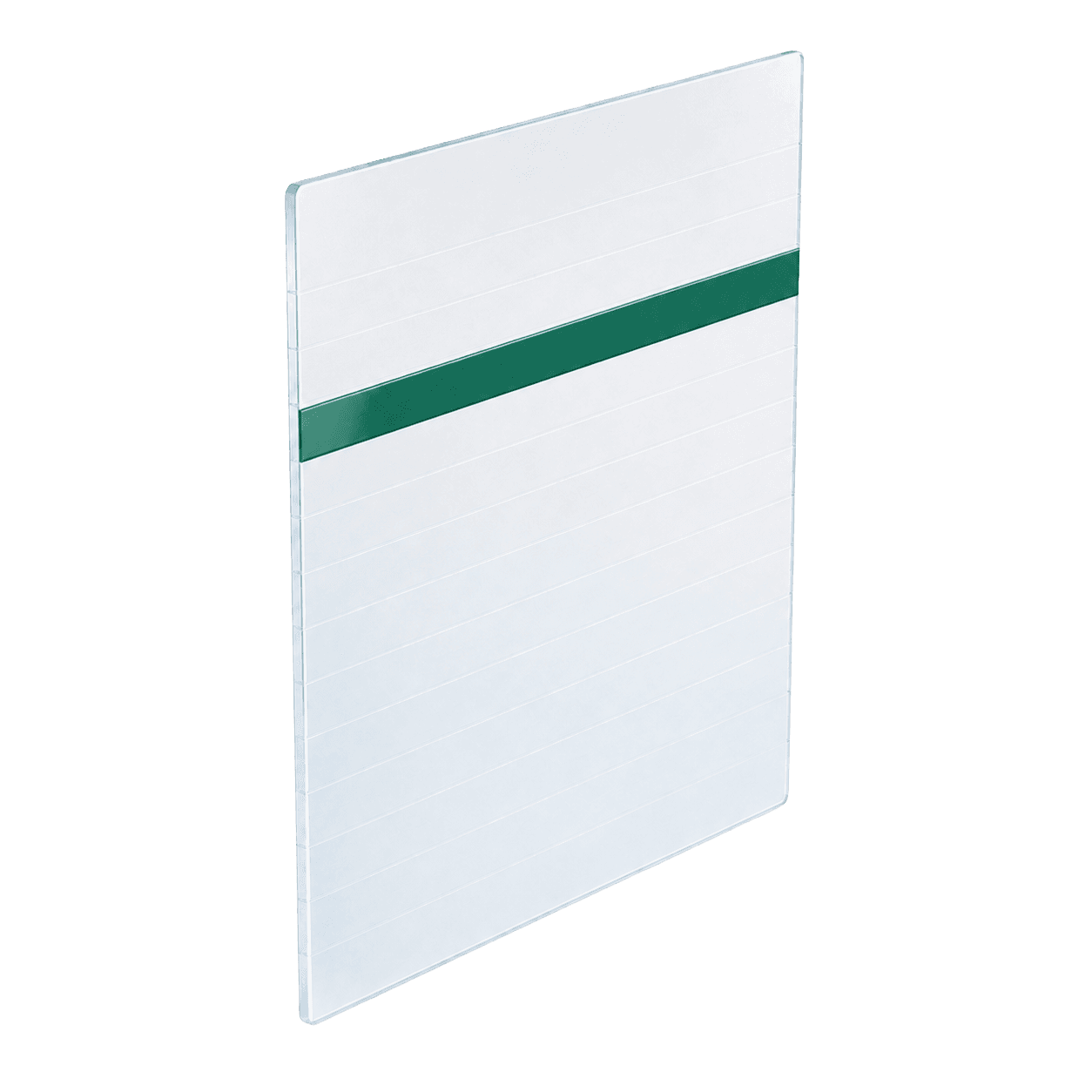 Ledger sheet with an emerald entry row